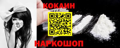 стаф Гатчина