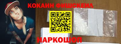 стаф Гатчина