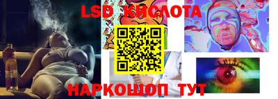 стаф Гатчина