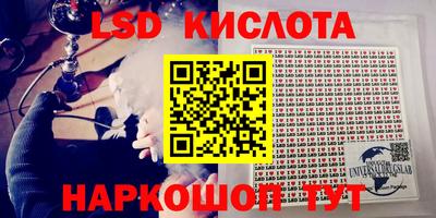 стаф Гатчина