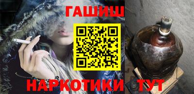 стаф Гатчина