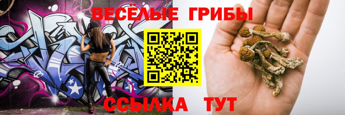 Полысаево  Псилоцибиновые грибы прущие грибы  Вход с VPN  Псилоцибиновые грибы MAGIC MUSHROOMS 